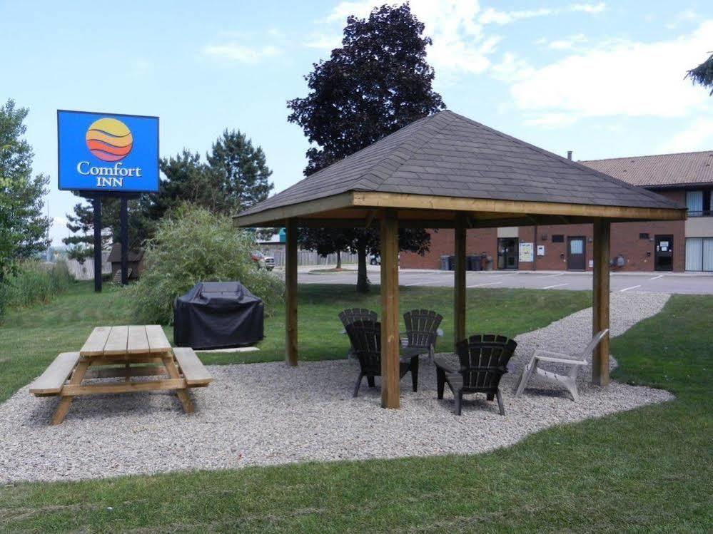Comfort Inn Huntsville Bagian luar foto